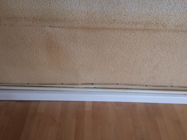 BAU.DE / BAU-Forum: 2. Bild zu Frage "Isoliergrundierung nach Raucherwohnung: Fleckenbildung, Ursachen & Lösungen für Altbau?" im BAU-Forum "Ausbauarbeiten" BAU.DE / BAU-Forum: 2. Bild zu Frage "Isoliergrundierung nach Raucherwohnung: Fleckenbildung, Ursachen & Lösungen für Altbau?" im BAU-Forum "Ausbauarbeiten"