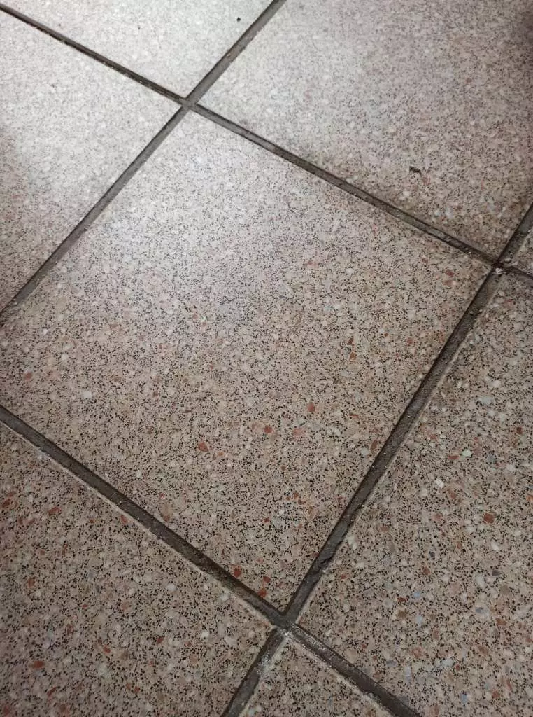 BAU.DE / BAU-Forum: 2. Bild zu Antwort "Terrassen-Belag: Fotos des aktuellen Zustands" auf die Frage "Terrasse neu belegen: Kosten, Aufbauhöhe & geeignete Beläge auf alten Platten?" im BAU-Forum "Balkon und Terrasse" BAU.DE / BAU-Forum: 2. Bild zu Antwort "Terrassen-Belag: Fotos des aktuellen Zustands" auf die Frage "Terrasse neu belegen: Kosten, Aufbauhöhe & geeignete Beläge auf alten Platten?" im BAU-Forum "Balkon und Terrasse"