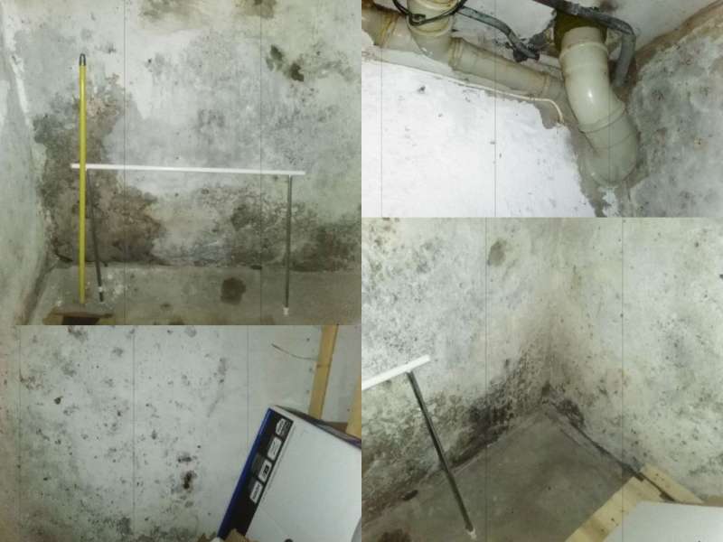BAU.DE / BAU-Forum: 2. Bild zu Frage "Asbest, Schimmel, Hausschwamm erkennen: Gesundheitsrisiken im Altbau? Maßnahmen & Hilfe" im BAU-Forum "Baustoffe" BAU.DE / BAU-Forum: 2. Bild zu Frage "Asbest, Schimmel, Hausschwamm erkennen: Gesundheitsrisiken im Altbau? Maßnahmen & Hilfe" im BAU-Forum "Baustoffe"