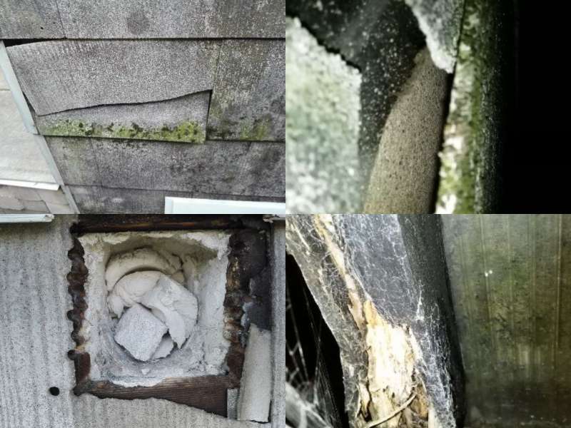BAU.DE / BAU-Forum: 5. Bild zu Frage "Asbest, Schimmel, Hausschwamm erkennen: Gesundheitsrisiken im Altbau? Maßnahmen & Hilfe" im BAU-Forum "Baustoffe" BAU.DE / BAU-Forum: 5. Bild zu Frage "Asbest, Schimmel, Hausschwamm erkennen: Gesundheitsrisiken im Altbau? Maßnahmen & Hilfe" im BAU-Forum "Baustoffe"