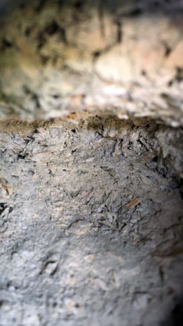 BAU.DE / BAU-Forum: 1. Bild zu Frage "Unbekannter Baustoff unter Holzverkleidung: Analyse, Gefahren & Fachberatung?" im BAU-Forum "Baustoffe" BAU.DE / BAU-Forum: 1. Bild zu Frage "Unbekannter Baustoff unter Holzverkleidung: Analyse, Gefahren & Fachberatung?" im BAU-Forum "Baustoffe"