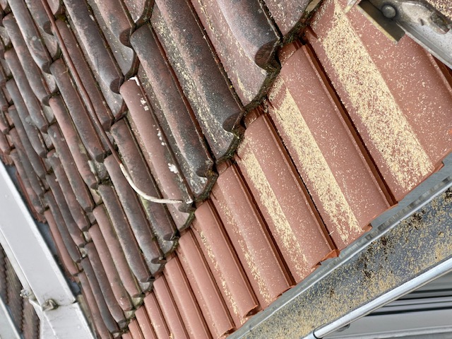 BAU.DE / BAU-Forum: 3. Bild zu Frage "Dachverlängerung mangelhaft? Abstand, Ziegel & Blitzableiter prüfen – Experteneinschätzung?" im BAU-Forum "Dach" BAU.DE / BAU-Forum: 3. Bild zu Frage "Dachverlängerung mangelhaft? Abstand, Ziegel & Blitzableiter prüfen – Experteneinschätzung?" im BAU-Forum "Dach"