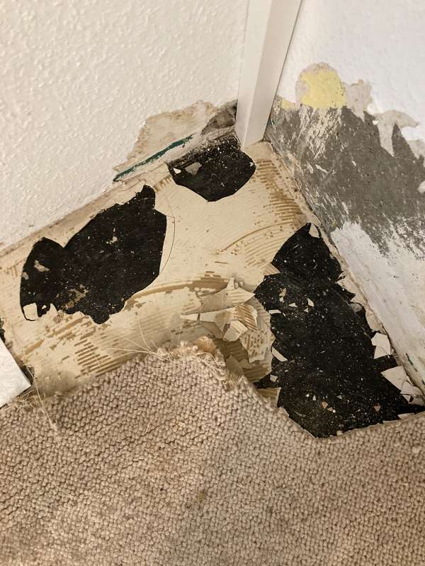 BAU.DE / BAU-Forum: 1. Bild zu Frage "Schwarzer Estrich unter Teppich: Asbestverdacht? Erkennung, Risiken & Fachmann-Check" im BAU-Forum "Estrich und Bodenbeläge" BAU.DE / BAU-Forum: 1. Bild zu Frage "Schwarzer Estrich unter Teppich: Asbestverdacht? Erkennung, Risiken & Fachmann-Check" im BAU-Forum "Estrich und Bodenbeläge"