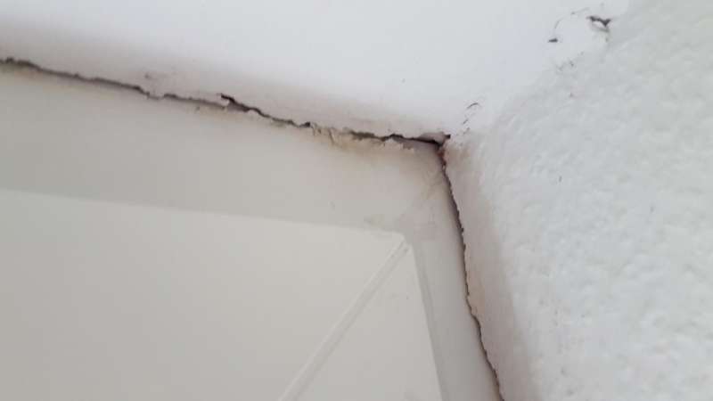 BAU.DE / BAU-Forum: 1. Bild zu Frage "Fenster abdichten im Altbau (Bj. 1978): Anleitung, Materialien & Kosten für 2-fach verglaste Fenster?" im BAU-Forum "Fenster und Außentüren" BAU.DE / BAU-Forum: 1. Bild zu Frage "Fenster abdichten im Altbau (Bj. 1978): Anleitung, Materialien & Kosten für 2-fach verglaste Fenster?" im BAU-Forum "Fenster und Außentüren"
