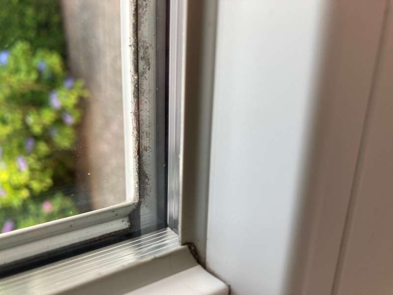 BAU.DE / BAU-Forum: 1. Bild zu Frage "Kunststoffenster Außenkitt erneuern: Anleitung, Material & Haltbarkeit" im BAU-Forum "Fenster und Außentüren" BAU.DE / BAU-Forum: 1. Bild zu Frage "Kunststoffenster Außenkitt erneuern: Anleitung, Material & Haltbarkeit" im BAU-Forum "Fenster und Außentüren"