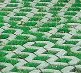 BAU.DE / BAU-Forum: 1. Bild zu Frage "250 m² Mieterparkplatz befestigen: Preiswerte Pflaster-Alternativen, Kosten & NRW-Regeln?" im BAU-Forum "Rund um den Garten" BAU.DE / BAU-Forum: 1. Bild zu Frage "250 m² Mieterparkplatz befestigen: Preiswerte Pflaster-Alternativen, Kosten & NRW-Regeln?" im BAU-Forum "Rund um den Garten"