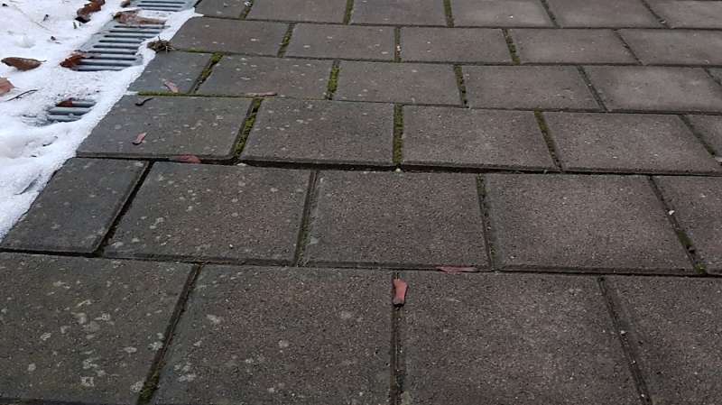 BAU.DE / BAU-Forum: 4. Bild zu Antwort "Gehweg-Analyse: Fotos bestätigen Frostschäden an Pflastersteinen" auf die Frage "Pflastersteine uneben: Ursachenforschung & Risikobewertung für Gehwegschäden?" im BAU-Forum "Rund um den Garten" BAU.DE / BAU-Forum: 4. Bild zu Antwort "Gehweg-Analyse: Fotos bestätigen Frostschäden an Pflastersteinen" auf die Frage "Pflastersteine uneben: Ursachenforschung & Risikobewertung für Gehwegschäden?" im BAU-Forum "Rund um den Garten"
