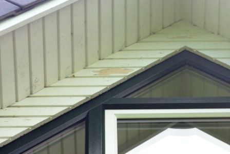 BAU.DE / BAU-Forum: 1. Bild zu Antwort "Giebelverkleidung: Abplatzende Farbe bei Nut-Feder-Brettern" auf die Frage "Farbe blättert an Giebelverkleidung ab: Ursachen, Sanierung & Gewährleistung?" im BAU-Forum "Holzschutz, Holzschäden, Holzsanierung" BAU.DE / BAU-Forum: 1. Bild zu Antwort "Giebelverkleidung: Abplatzende Farbe bei Nut-Feder-Brettern" auf die Frage "Farbe blättert an Giebelverkleidung ab: Ursachen, Sanierung & Gewährleistung?" im BAU-Forum "Holzschutz, Holzschäden, Holzsanierung"