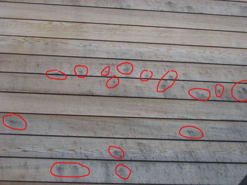 BAU.DE / BAU-Forum: 4. Bild zu Frage "Schwarze Flecken auf Zedernholz-Fassade: Ursachen, Entfernung & Vorbeugung?" im BAU-Forum "Holzschutz, Holzschäden, Holzsanierung" BAU.DE / BAU-Forum: 4. Bild zu Frage "Schwarze Flecken auf Zedernholz-Fassade: Ursachen, Entfernung & Vorbeugung?" im BAU-Forum "Holzschutz, Holzschäden, Holzsanierung"