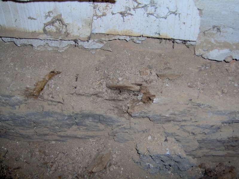 BAU.DE / BAU-Forum: 2. Bild zu Frage "Würfelbruch & Schädlingsbefall nach Deckenausbau: Haftung des Auftragnehmers?" im BAU-Forum "Holzschutz, Holzschäden, Holzsanierung" BAU.DE / BAU-Forum: 2. Bild zu Frage "Würfelbruch & Schädlingsbefall nach Deckenausbau: Haftung des Auftragnehmers?" im BAU-Forum "Holzschutz, Holzschäden, Holzsanierung"