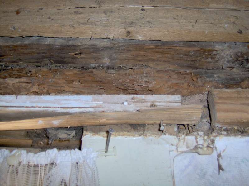 BAU.DE / BAU-Forum: 3. Bild zu Frage "Würfelbruch & Schädlingsbefall nach Deckenausbau: Haftung des Auftragnehmers?" im BAU-Forum "Holzschutz, Holzschäden, Holzsanierung" BAU.DE / BAU-Forum: 3. Bild zu Frage "Würfelbruch & Schädlingsbefall nach Deckenausbau: Haftung des Auftragnehmers?" im BAU-Forum "Holzschutz, Holzschäden, Holzsanierung"