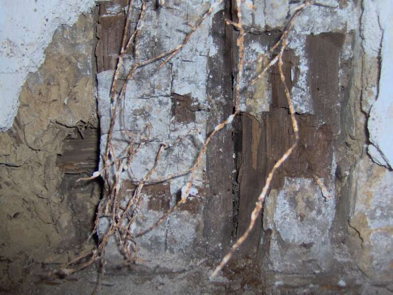 BAU.DE / BAU-Forum: 4. Bild zu Frage "Würfelbruch & Schädlingsbefall nach Deckenausbau: Haftung des Auftragnehmers?" im BAU-Forum "Holzschutz, Holzschäden, Holzsanierung" BAU.DE / BAU-Forum: 4. Bild zu Frage "Würfelbruch & Schädlingsbefall nach Deckenausbau: Haftung des Auftragnehmers?" im BAU-Forum "Holzschutz, Holzschäden, Holzsanierung"