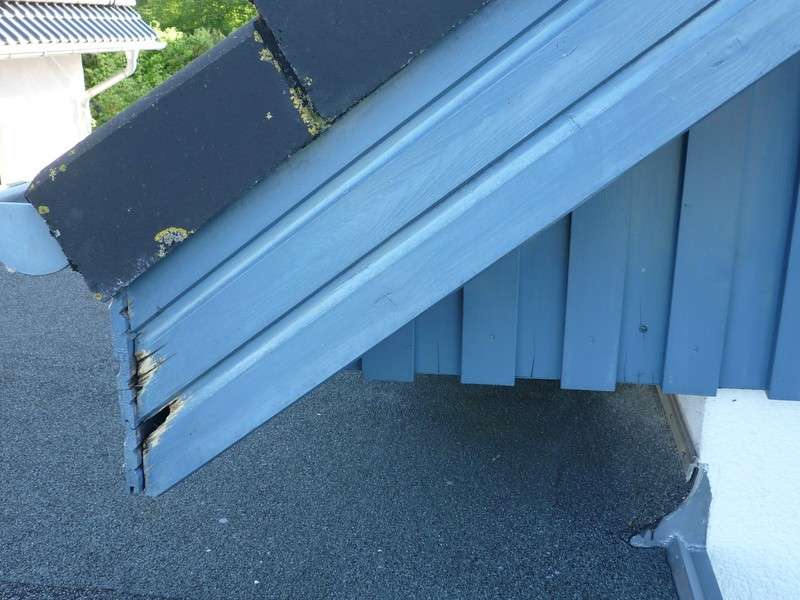 BAU.DE / BAU-Forum: 2. Bild zu Frage "Giebelseiten Holzverkleidung fault: Ursachen, Sanierung & Schutz vor Feuchtigkeit?" im BAU-Forum "Holzschutz, Holzschäden, Holzsanierung" BAU.DE / BAU-Forum: 2. Bild zu Frage "Giebelseiten Holzverkleidung fault: Ursachen, Sanierung & Schutz vor Feuchtigkeit?" im BAU-Forum "Holzschutz, Holzschäden, Holzsanierung"