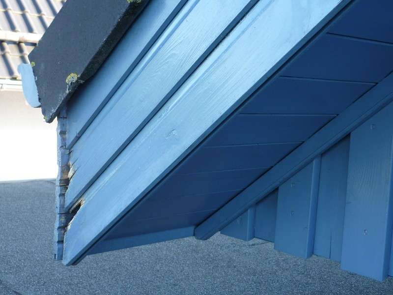 BAU.DE / BAU-Forum: 3. Bild zu Frage "Giebelseiten Holzverkleidung fault: Ursachen, Sanierung & Schutz vor Feuchtigkeit?" im BAU-Forum "Holzschutz, Holzschäden, Holzsanierung" BAU.DE / BAU-Forum: 3. Bild zu Frage "Giebelseiten Holzverkleidung fault: Ursachen, Sanierung & Schutz vor Feuchtigkeit?" im BAU-Forum "Holzschutz, Holzschäden, Holzsanierung"