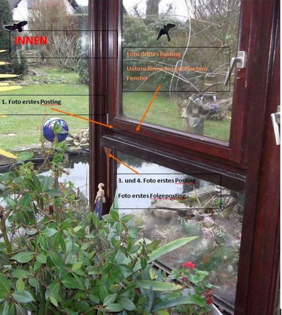 BAU.DE / BAU-Forum: 1. Bild zu Antwort "Wintergarten – Gesamtansicht innen/außen zur Schadensanalyse" auf die Frage "Holzschaden im Wintergarten: Ursachen erkennen, bekämpfen & Bausubstanz sichern" im BAU-Forum "Holzschutz, Holzschäden, Holzsanierung" BAU.DE / BAU-Forum: 1. Bild zu Antwort "Wintergarten – Gesamtansicht innen/außen zur Schadensanalyse" auf die Frage "Holzschaden im Wintergarten: Ursachen erkennen, bekämpfen & Bausubstanz sichern" im BAU-Forum "Holzschutz, Holzschäden, Holzsanierung"