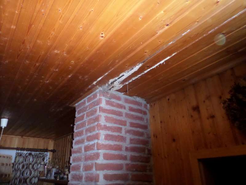 BAU.DE / BAU-Forum: 1. Bild zu Frage "Weißer Schimmel oder Hausschwamm an Holzdecke? Erkennung, Gefahren & Sanierung" im BAU-Forum "Holzschutz, Holzschäden, Holzsanierung" BAU.DE / BAU-Forum: 1. Bild zu Frage "Weißer Schimmel oder Hausschwamm an Holzdecke? Erkennung, Gefahren & Sanierung" im BAU-Forum "Holzschutz, Holzschäden, Holzsanierung"