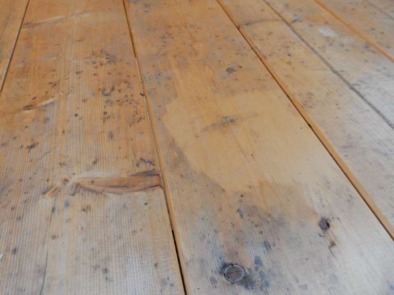 BAU.DE / BAU-Forum: 1. Bild zu Frage "Bläuepilz auf Fichtenholz: Ursachen, Vorbeugung & Sanierung nach kurzer Zeit?" im BAU-Forum "Holzschutz, Holzschäden, Holzsanierung" BAU.DE / BAU-Forum: 1. Bild zu Frage "Bläuepilz auf Fichtenholz: Ursachen, Vorbeugung & Sanierung nach kurzer Zeit?" im BAU-Forum "Holzschutz, Holzschäden, Holzsanierung"