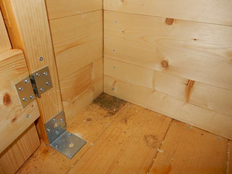 BAU.DE / BAU-Forum: 3. Bild zu Frage "Bläuepilz auf Fichtenholz: Ursachen, Vorbeugung & Sanierung nach kurzer Zeit?" im BAU-Forum "Holzschutz, Holzschäden, Holzsanierung" BAU.DE / BAU-Forum: 3. Bild zu Frage "Bläuepilz auf Fichtenholz: Ursachen, Vorbeugung & Sanierung nach kurzer Zeit?" im BAU-Forum "Holzschutz, Holzschäden, Holzsanierung"