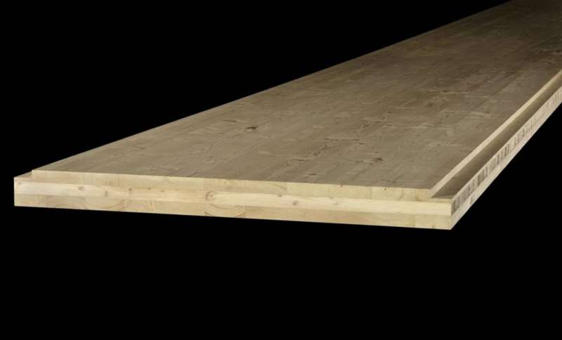BAU.DE / BAU-Forum: 3. Bild zu Frage "Feuchter Atelierboden auf Beton: Risiken, Sanierung & geeignete Isolierung?" im BAU-Forum "Holzschutz, Holzschäden, Holzsanierung" BAU.DE / BAU-Forum: 3. Bild zu Frage "Feuchter Atelierboden auf Beton: Risiken, Sanierung & geeignete Isolierung?" im BAU-Forum "Holzschutz, Holzschäden, Holzsanierung"