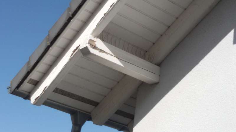 BAU.DE / BAU-Forum: 3. Bild zu Frage "Risse im Holzbalken: Ursachen, Gefahren & Sanierung? Expertenrat bei Schäden!" im BAU-Forum "Holzschutz, Holzschäden, Holzsanierung" BAU.DE / BAU-Forum: 3. Bild zu Frage "Risse im Holzbalken: Ursachen, Gefahren & Sanierung? Expertenrat bei Schäden!" im BAU-Forum "Holzschutz, Holzschäden, Holzsanierung"