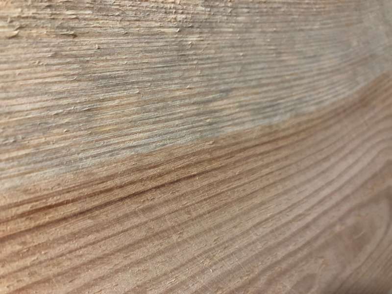 BAU.DE / BAU-Forum: 3. Bild zu Frage "Holzschimmel oder Holzgräue im Hochbett? Erkennung, Gefahren & Sanierung" im BAU-Forum "Holzschutz, Holzschäden, Holzsanierung" BAU.DE / BAU-Forum: 3. Bild zu Frage "Holzschimmel oder Holzgräue im Hochbett? Erkennung, Gefahren & Sanierung" im BAU-Forum "Holzschutz, Holzschäden, Holzsanierung"
