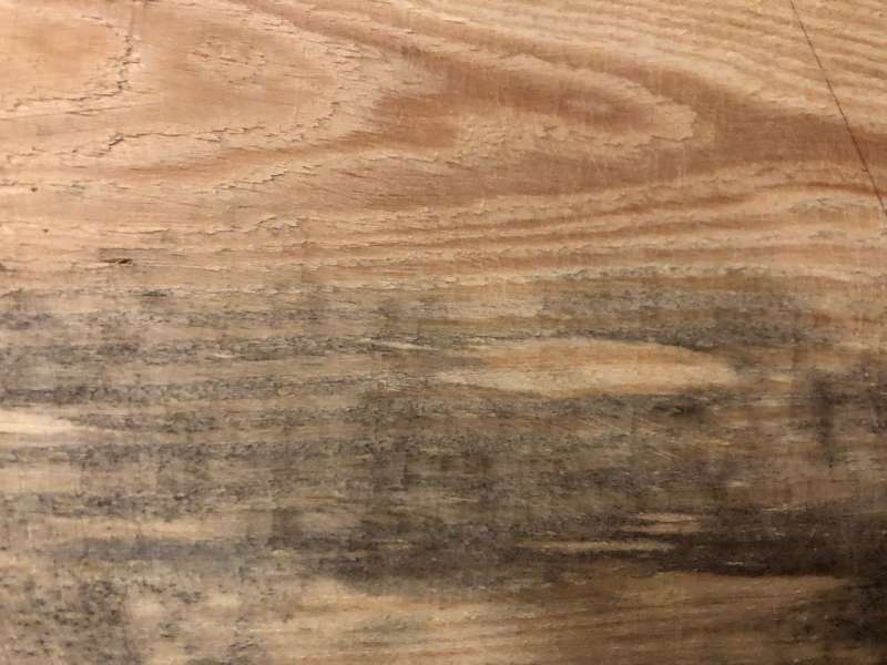 BAU.DE / BAU-Forum: 5. Bild zu Frage "Holzschimmel oder Holzgräue im Hochbett? Erkennung, Gefahren & Sanierung" im BAU-Forum "Holzschutz, Holzschäden, Holzsanierung" BAU.DE / BAU-Forum: 5. Bild zu Frage "Holzschimmel oder Holzgräue im Hochbett? Erkennung, Gefahren & Sanierung" im BAU-Forum "Holzschutz, Holzschäden, Holzsanierung"