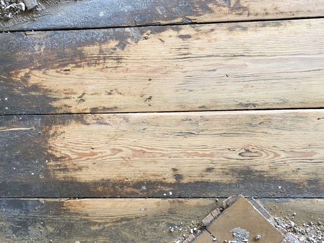 BAU.DE / BAU-Forum: 1. Bild zu Frage "Holzart Dielenboden bestimmen: Merkmale, Fotos & Unterschiede erkennen?" im BAU-Forum "Holzschutz, Holzschäden, Holzsanierung" BAU.DE / BAU-Forum: 1. Bild zu Frage "Holzart Dielenboden bestimmen: Merkmale, Fotos & Unterschiede erkennen?" im BAU-Forum "Holzschutz, Holzschäden, Holzsanierung"
