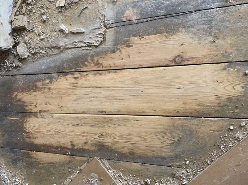 BAU.DE / BAU-Forum: 2. Bild zu Frage "Holzart Dielenboden bestimmen: Merkmale, Fotos & Unterschiede erkennen?" im BAU-Forum "Holzschutz, Holzschäden, Holzsanierung" BAU.DE / BAU-Forum: 2. Bild zu Frage "Holzart Dielenboden bestimmen: Merkmale, Fotos & Unterschiede erkennen?" im BAU-Forum "Holzschutz, Holzschäden, Holzsanierung"