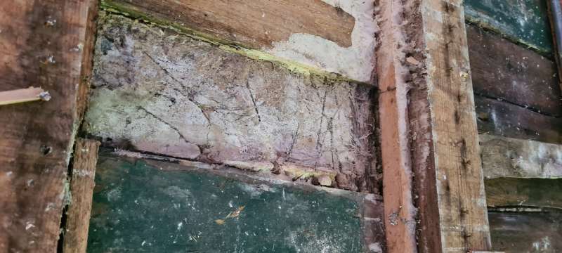 BAU.DE / BAU-Forum: 4. Bild zu Frage "Weißer Porenschwamm oder Hausschwamm? Erkennung, Unterschiede & Bekämpfung" im BAU-Forum "Holzschutz, Holzschäden, Holzsanierung" BAU.DE / BAU-Forum: 4. Bild zu Frage "Weißer Porenschwamm oder Hausschwamm? Erkennung, Unterschiede & Bekämpfung" im BAU-Forum "Holzschutz, Holzschäden, Holzsanierung"
