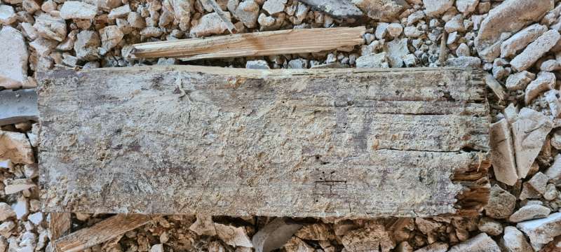 BAU.DE / BAU-Forum: 5. Bild zu Frage "Weißer Porenschwamm oder Hausschwamm? Erkennung, Unterschiede & Bekämpfung" im BAU-Forum "Holzschutz, Holzschäden, Holzsanierung" BAU.DE / BAU-Forum: 5. Bild zu Frage "Weißer Porenschwamm oder Hausschwamm? Erkennung, Unterschiede & Bekämpfung" im BAU-Forum "Holzschutz, Holzschäden, Holzsanierung"