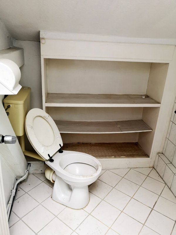 BAU.DE / BAU-Forum: 3. Bild zu Antwort "Risiko Hausschwamm: Erste Einschätzung und weitere Schritte" auf die Frage "Hausschwamm erkennen: Risiken, Sanierungskosten & Gutachter für Altbau?" im BAU-Forum "Holzschutz, Holzschäden, Holzsanierung" BAU.DE / BAU-Forum: 3. Bild zu Antwort "Risiko Hausschwamm: Erste Einschätzung und weitere Schritte" auf die Frage "Hausschwamm erkennen: Risiken, Sanierungskosten & Gutachter für Altbau?" im BAU-Forum "Holzschutz, Holzschäden, Holzsanierung"