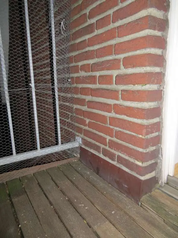 BAU.DE / BAU-Forum: 1. Bild zu Antwort "Schimmel Sockelleiste: Außenwand-Analyse durch Foto" auf die Frage "Schimmel Sockelleiste: Ursachen, Entfernung & Vorbeugung im Innenraum?" im BAU-Forum "Innenwände" BAU.DE / BAU-Forum: 1. Bild zu Antwort "Schimmel Sockelleiste: Außenwand-Analyse durch Foto" auf die Frage "Schimmel Sockelleiste: Ursachen, Entfernung & Vorbeugung im Innenraum?" im BAU-Forum "Innenwände"