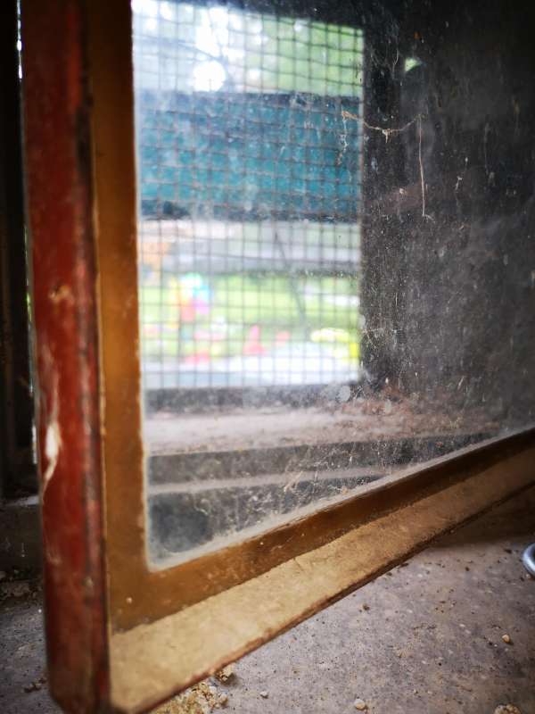 BAU.DE / BAU-Forum: 1. Bild zu Frage "Kellerfenster abdichten: Kleber & Dichtung für Metallrahmen – Empfehlungen?" im BAU-Forum "Keller" BAU.DE / BAU-Forum: 1. Bild zu Frage "Kellerfenster abdichten: Kleber & Dichtung für Metallrahmen – Empfehlungen?" im BAU-Forum "Keller"