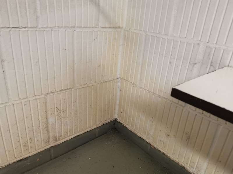 BAU.DE / BAU-Forum: 1. Bild zu Frage "Hohe Luftfeuchtigkeit in Wohnung (1992): Ursachen, Schimmelbildung & Sofortmaßnahmen?" im BAU-Forum "Keller" BAU.DE / BAU-Forum: 1. Bild zu Frage "Hohe Luftfeuchtigkeit in Wohnung (1992): Ursachen, Schimmelbildung & Sofortmaßnahmen?" im BAU-Forum "Keller"