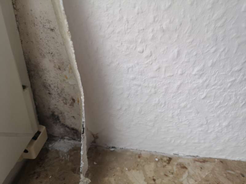 BAU.DE / BAU-Forum: 3. Bild zu Frage "Hohe Luftfeuchtigkeit in Wohnung (1992): Ursachen, Schimmelbildung & Sofortmaßnahmen?" im BAU-Forum "Keller" BAU.DE / BAU-Forum: 3. Bild zu Frage "Hohe Luftfeuchtigkeit in Wohnung (1992): Ursachen, Schimmelbildung & Sofortmaßnahmen?" im BAU-Forum "Keller"