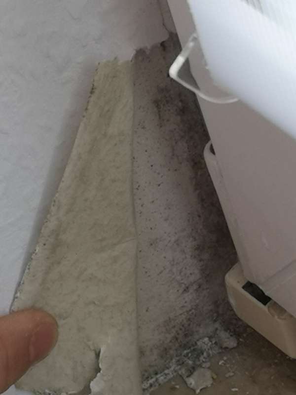 BAU.DE / BAU-Forum: 4. Bild zu Frage "Hohe Luftfeuchtigkeit in Wohnung (1992): Ursachen, Schimmelbildung & Sofortmaßnahmen?" im BAU-Forum "Keller" BAU.DE / BAU-Forum: 4. Bild zu Frage "Hohe Luftfeuchtigkeit in Wohnung (1992): Ursachen, Schimmelbildung & Sofortmaßnahmen?" im BAU-Forum "Keller"