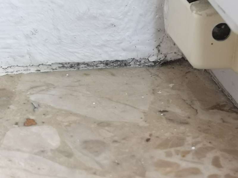 BAU.DE / BAU-Forum: 5. Bild zu Frage "Hohe Luftfeuchtigkeit in Wohnung (1992): Ursachen, Schimmelbildung & Sofortmaßnahmen?" im BAU-Forum "Keller" BAU.DE / BAU-Forum: 5. Bild zu Frage "Hohe Luftfeuchtigkeit in Wohnung (1992): Ursachen, Schimmelbildung & Sofortmaßnahmen?" im BAU-Forum "Keller"