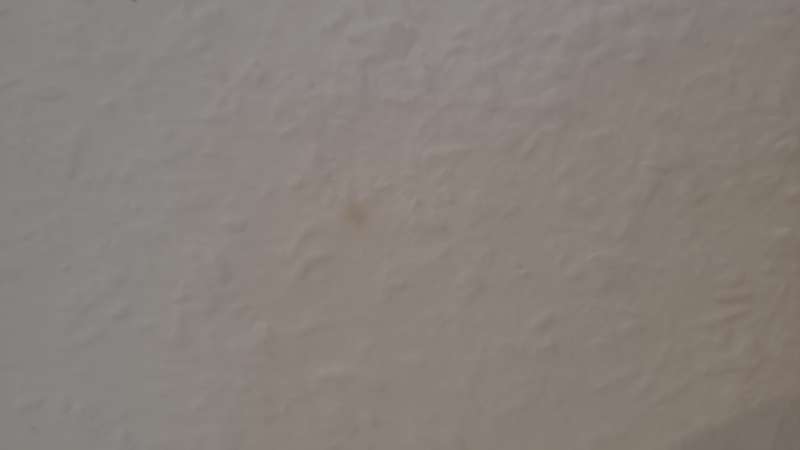 BAU.DE / BAU-Forum: 2. Bild zu Frage "Braune Flecken an der Wand: Ursachen, Risiken & Maßnahmen bei Neubau?" im BAU-Forum "Keller" BAU.DE / BAU-Forum: 2. Bild zu Frage "Braune Flecken an der Wand: Ursachen, Risiken & Maßnahmen bei Neubau?" im BAU-Forum "Keller"