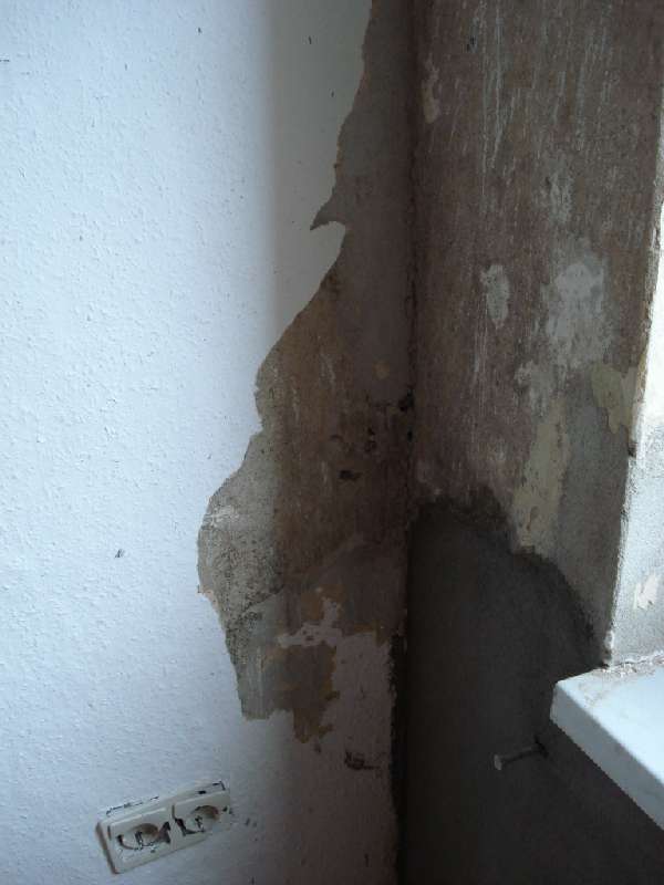 BAU.DE / BAU-Forum: 4. Bild zu Antwort "Schimmel im Altbau: Bilder der Sanierung als Ursachenforschung" auf die Frage "Kondenswasser am Fenster innen: Ursachen, Maßnahmen & Risiken im Altbau?" im BAU-Forum "Modernisierung / Sanierung / Bauschäden" BAU.DE / BAU-Forum: 4. Bild zu Antwort "Schimmel im Altbau: Bilder der Sanierung als Ursachenforschung" auf die Frage "Kondenswasser am Fenster innen: Ursachen, Maßnahmen & Risiken im Altbau?" im BAU-Forum "Modernisierung / Sanierung / Bauschäden"