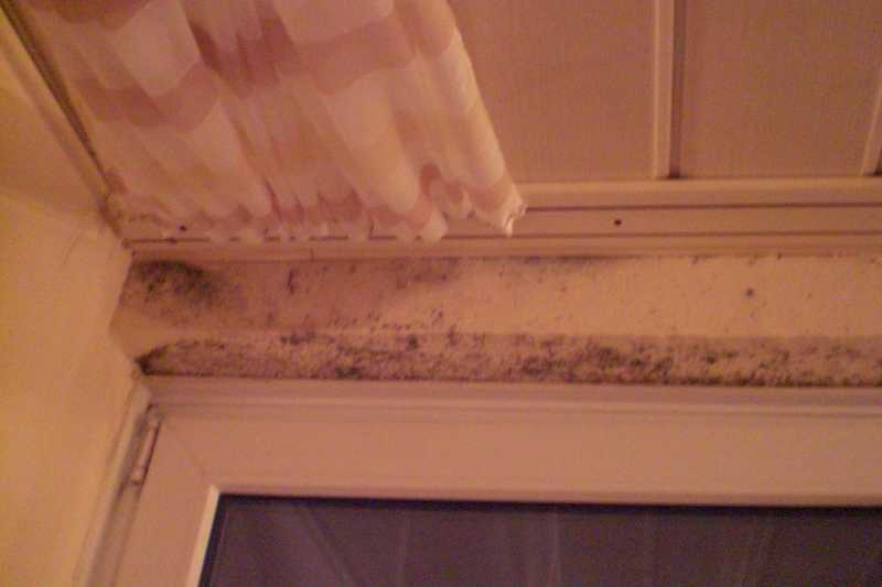 BAU.DE / BAU-Forum: 1. Bild zu Frage "Schimmel in Wohnung: Ursachen erkennen (Baumängel vs. Lüften) & Sanierung?" im BAU-Forum "Modernisierung / Sanierung / Bauschäden" BAU.DE / BAU-Forum: 1. Bild zu Frage "Schimmel in Wohnung: Ursachen erkennen (Baumängel vs. Lüften) & Sanierung?" im BAU-Forum "Modernisierung / Sanierung / Bauschäden"