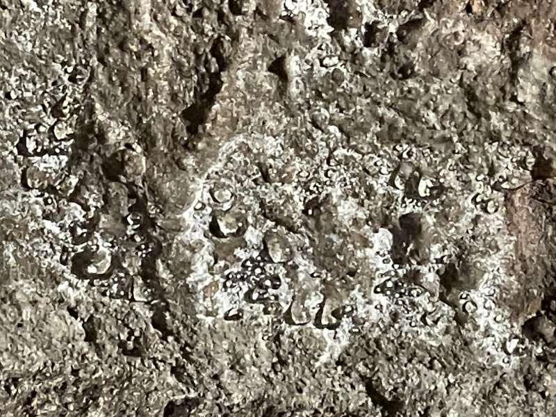 BAU.DE / BAU-Forum: 1. Bild zu Frage "Gewölbekeller Trocknung nach Wasserschaden: Ursachen, Maßnahmen & Kosten?" im BAU-Forum "Modernisierung / Sanierung / Bauschäden" BAU.DE / BAU-Forum: 1. Bild zu Frage "Gewölbekeller Trocknung nach Wasserschaden: Ursachen, Maßnahmen & Kosten?" im BAU-Forum "Modernisierung / Sanierung / Bauschäden"