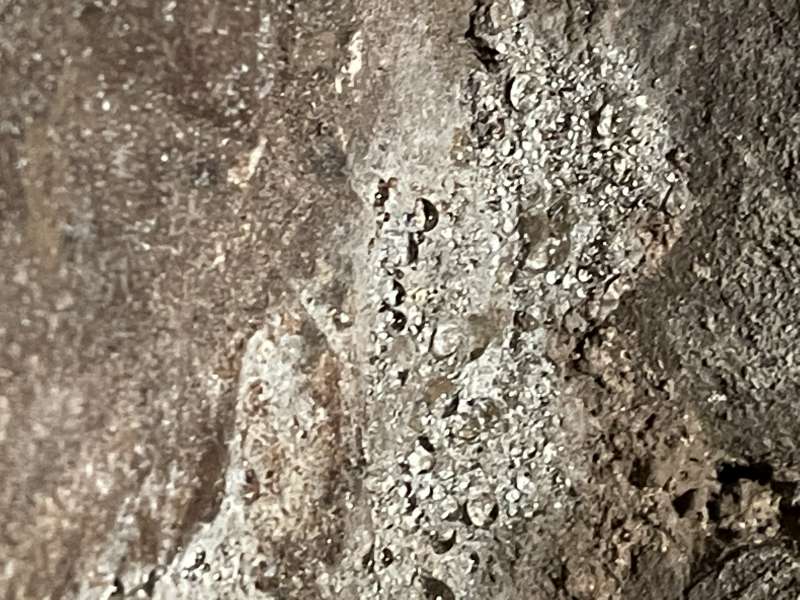 BAU.DE / BAU-Forum: 2. Bild zu Frage "Gewölbekeller Trocknung nach Wasserschaden: Ursachen, Maßnahmen & Kosten?" im BAU-Forum "Modernisierung / Sanierung / Bauschäden" BAU.DE / BAU-Forum: 2. Bild zu Frage "Gewölbekeller Trocknung nach Wasserschaden: Ursachen, Maßnahmen & Kosten?" im BAU-Forum "Modernisierung / Sanierung / Bauschäden"