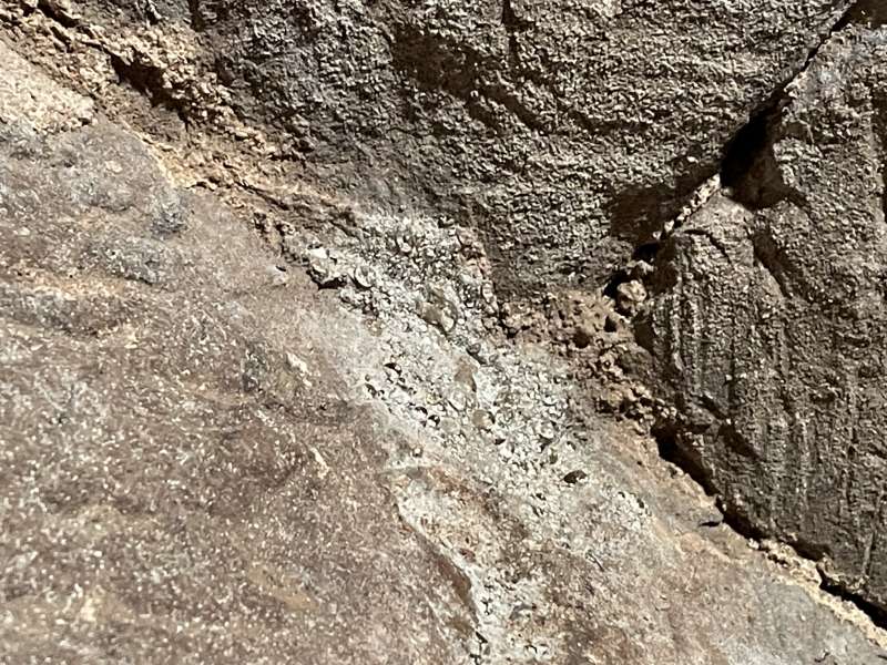 BAU.DE / BAU-Forum: 3. Bild zu Frage "Gewölbekeller Trocknung nach Wasserschaden: Ursachen, Maßnahmen & Kosten?" im BAU-Forum "Modernisierung / Sanierung / Bauschäden" BAU.DE / BAU-Forum: 3. Bild zu Frage "Gewölbekeller Trocknung nach Wasserschaden: Ursachen, Maßnahmen & Kosten?" im BAU-Forum "Modernisierung / Sanierung / Bauschäden"