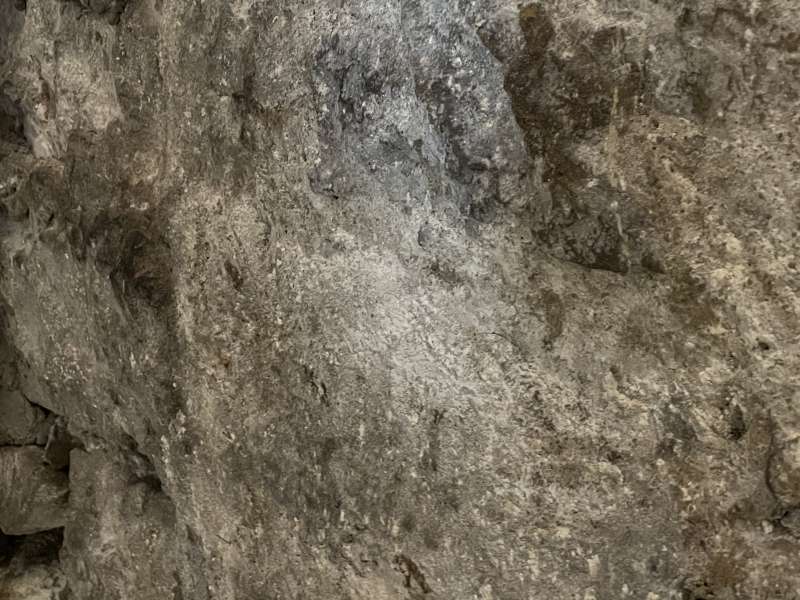 BAU.DE / BAU-Forum: 4. Bild zu Frage "Gewölbekeller Trocknung nach Wasserschaden: Ursachen, Maßnahmen & Kosten?" im BAU-Forum "Modernisierung / Sanierung / Bauschäden" BAU.DE / BAU-Forum: 4. Bild zu Frage "Gewölbekeller Trocknung nach Wasserschaden: Ursachen, Maßnahmen & Kosten?" im BAU-Forum "Modernisierung / Sanierung / Bauschäden"