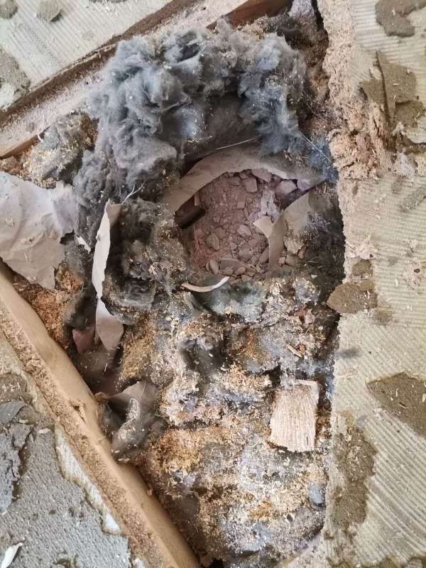 BAU.DE / BAU-Forum: 1. Bild zu Frage "Holzbalkendecke sanieren: Aufbau, Dämmung, Dielen & Trockenestrich – Probleme mit Schutt?" im BAU-Forum "Modernisierung / Sanierung / Bauschäden" BAU.DE / BAU-Forum: 1. Bild zu Frage "Holzbalkendecke sanieren: Aufbau, Dämmung, Dielen & Trockenestrich – Probleme mit Schutt?" im BAU-Forum "Modernisierung / Sanierung / Bauschäden"