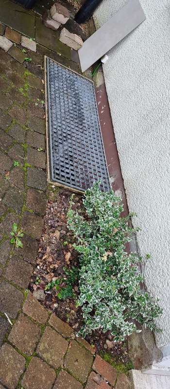 BAU.DE / BAU-Forum: 1. Bild zu Frage "Sockelbereich sanieren: Ursachen, Vorgehen & Kosten für Bimsstein-Mauerwerk?" im BAU-Forum "Modernisierung / Sanierung / Bauschäden" BAU.DE / BAU-Forum: 1. Bild zu Frage "Sockelbereich sanieren: Ursachen, Vorgehen & Kosten für Bimsstein-Mauerwerk?" im BAU-Forum "Modernisierung / Sanierung / Bauschäden"