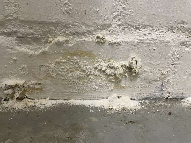 BAU.DE / BAU-Forum: 1. Bild zu Antwort "Estrich im Keller: Aufbau, Dämmung & Trocknungsgrad" auf die Frage "Feuchter Kellerboden nach Wasserschaden: Ursachen, Sanierung & Risiken?" im BAU-Forum "Modernisierung / Sanierung / Bauschäden" BAU.DE / BAU-Forum: 1. Bild zu Antwort "Estrich im Keller: Aufbau, Dämmung & Trocknungsgrad" auf die Frage "Feuchter Kellerboden nach Wasserschaden: Ursachen, Sanierung & Risiken?" im BAU-Forum "Modernisierung / Sanierung / Bauschäden"