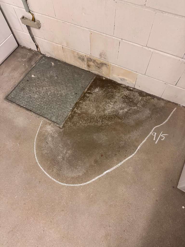BAU.DE / BAU-Forum: 1. Bild zu Frage "Wasserschaden im Keller: Ursachen, Schimmelbildung & Maßnahmen zur Beseitigung?" im BAU-Forum "Modernisierung / Sanierung / Bauschäden" BAU.DE / BAU-Forum: 1. Bild zu Frage "Wasserschaden im Keller: Ursachen, Schimmelbildung & Maßnahmen zur Beseitigung?" im BAU-Forum "Modernisierung / Sanierung / Bauschäden"