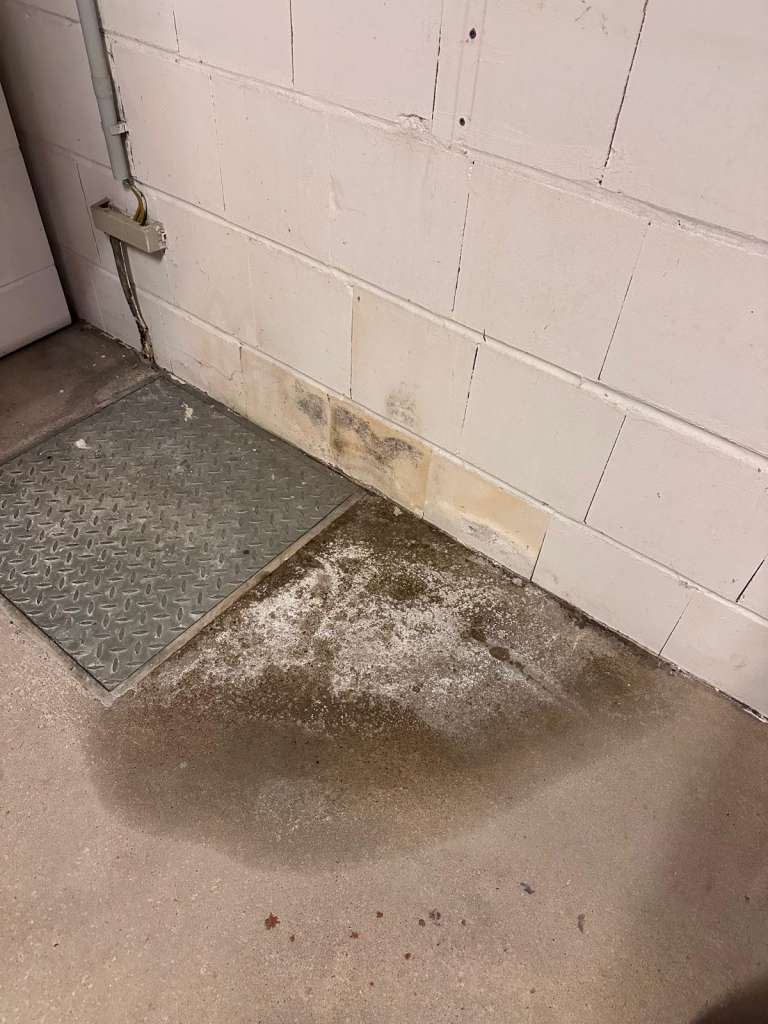 BAU.DE / BAU-Forum: 2. Bild zu Frage "Wasserschaden im Keller: Ursachen, Schimmelbildung & Maßnahmen zur Beseitigung?" im BAU-Forum "Modernisierung / Sanierung / Bauschäden" BAU.DE / BAU-Forum: 2. Bild zu Frage "Wasserschaden im Keller: Ursachen, Schimmelbildung & Maßnahmen zur Beseitigung?" im BAU-Forum "Modernisierung / Sanierung / Bauschäden"