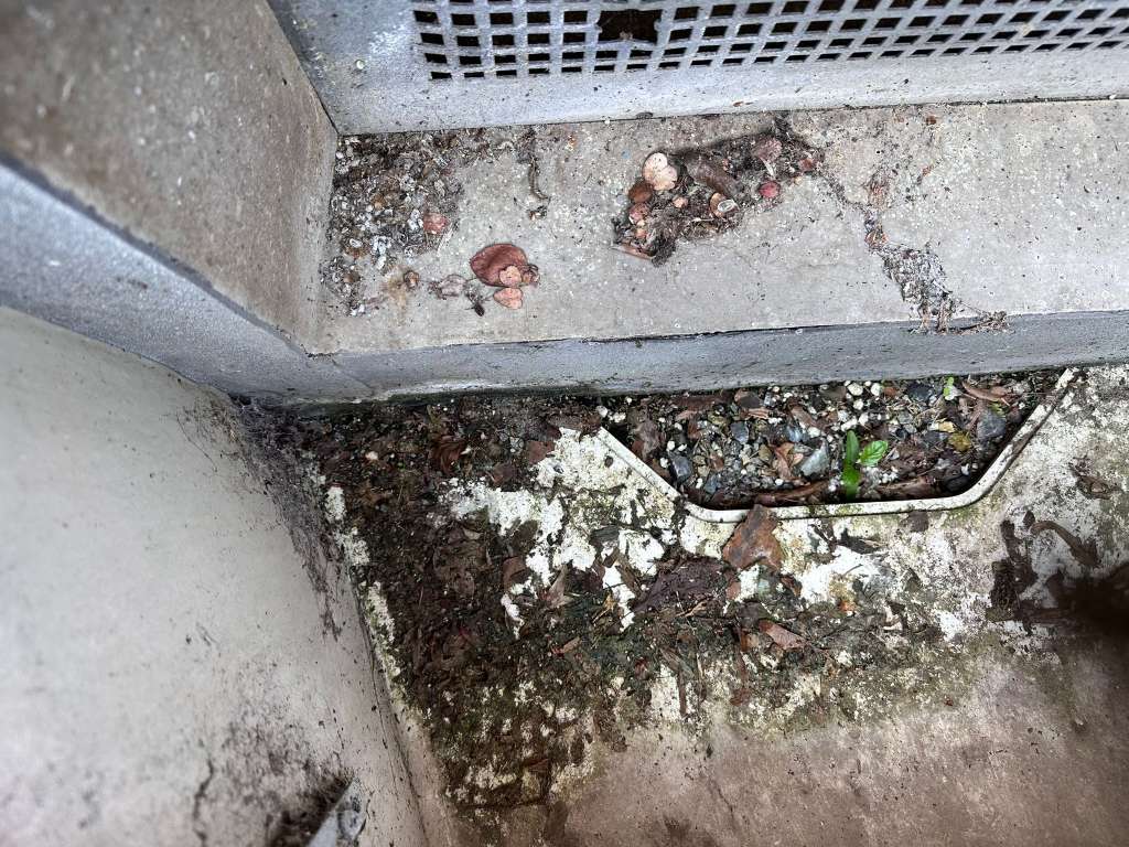 BAU.DE / BAU-Forum: 4. Bild zu Frage "Wasserschaden im Keller: Ursachen, Schimmelbildung & Maßnahmen zur Beseitigung?" im BAU-Forum "Modernisierung / Sanierung / Bauschäden" BAU.DE / BAU-Forum: 4. Bild zu Frage "Wasserschaden im Keller: Ursachen, Schimmelbildung & Maßnahmen zur Beseitigung?" im BAU-Forum "Modernisierung / Sanierung / Bauschäden"